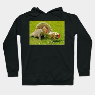 Squirrel with shopping trolley cart stocking up for winter . Hoodie